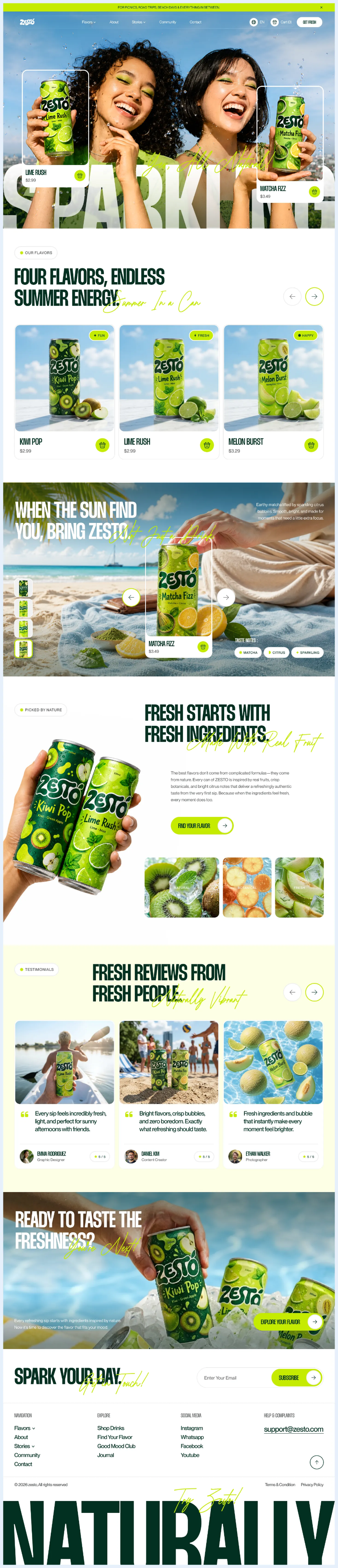Zesto full website view
